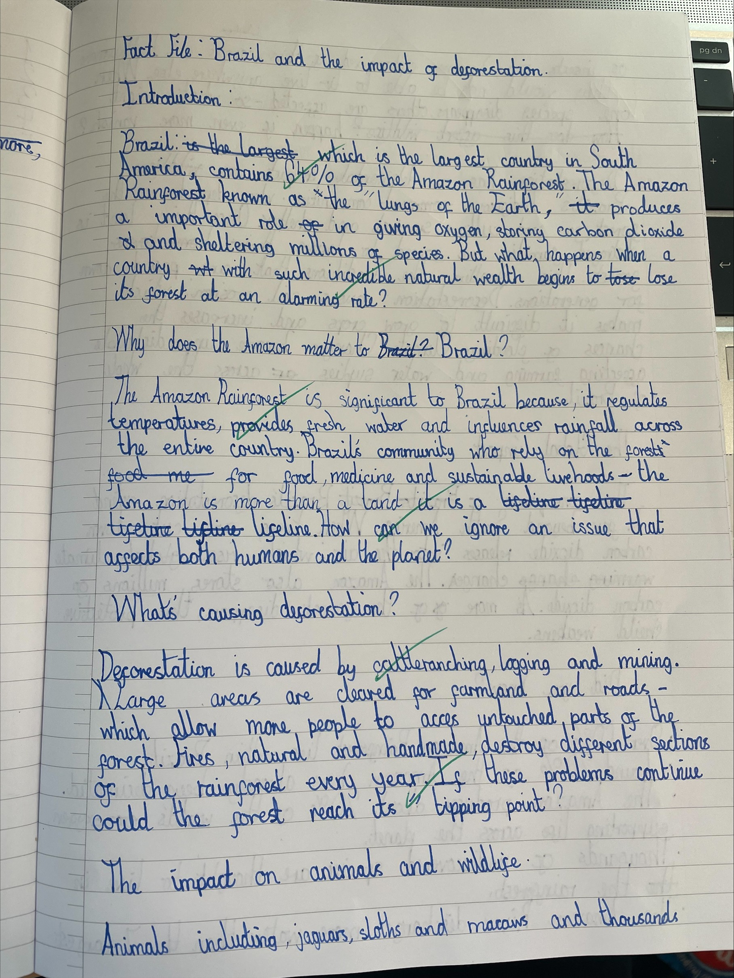 Newtown Primary School - Geography